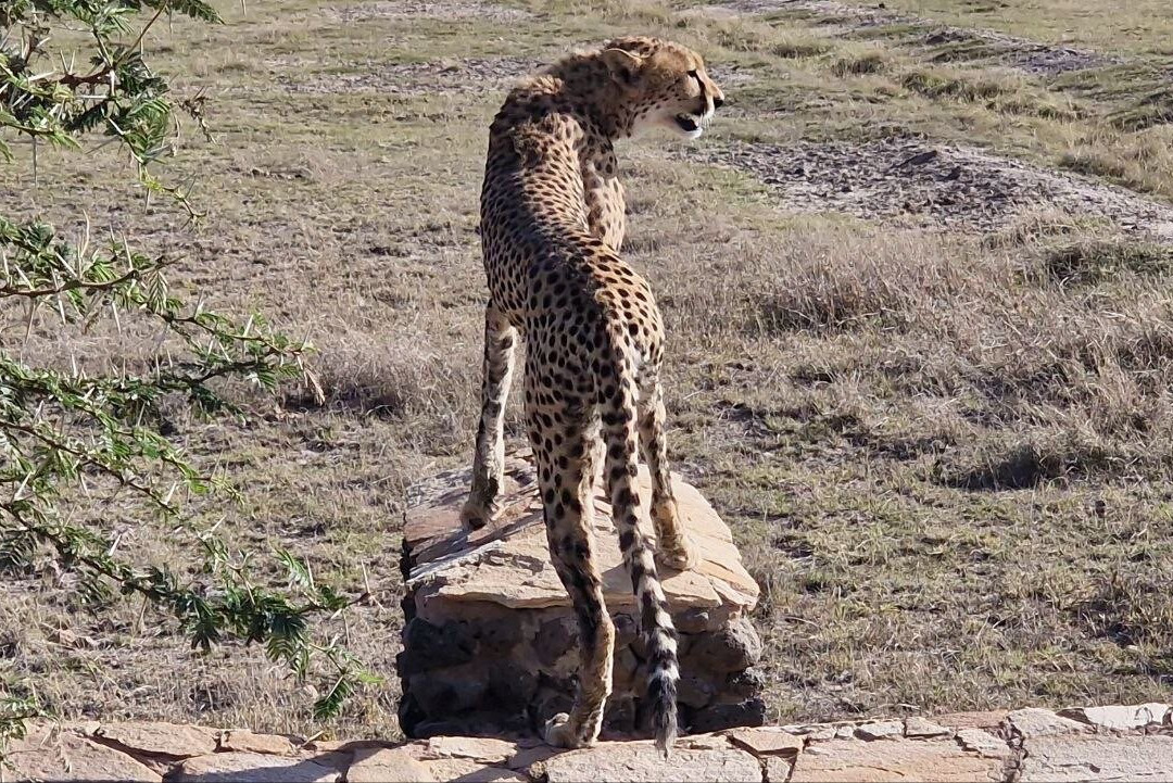 Bigfoot Adventures-内罗毕必去景点