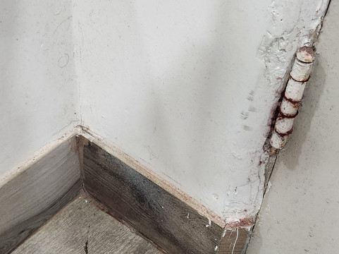 别墅 1565 酒店主图