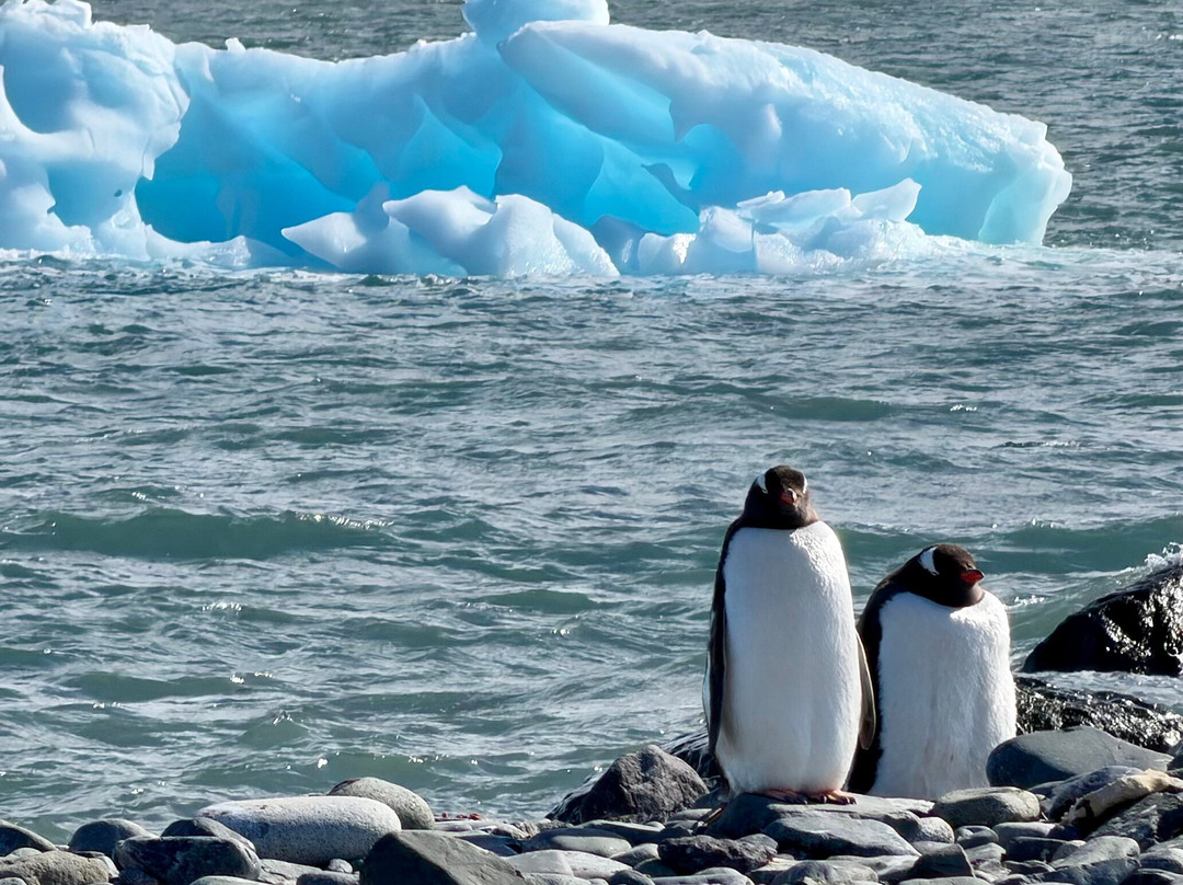 Adventure Life-库斯科必去景点