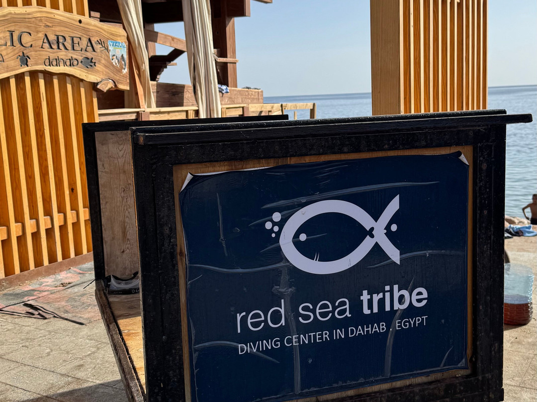 Red Sea Tribe-达哈卜必去景点
