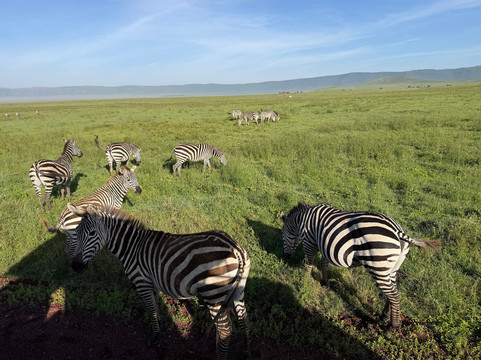 Unlimited Expeditions - The Soul Of Tanzania-阿鲁沙必去景点