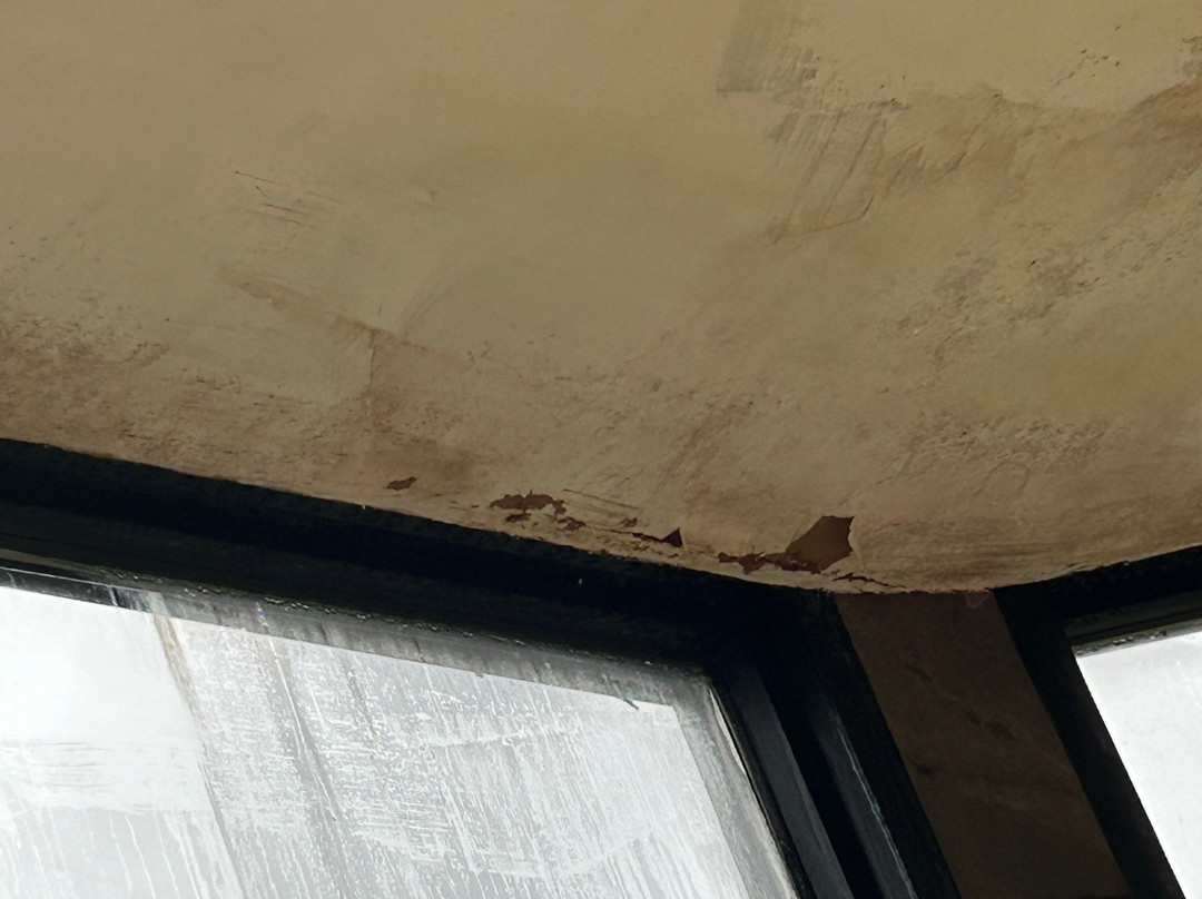 Reynolds Retreat-Borough Green必去景点