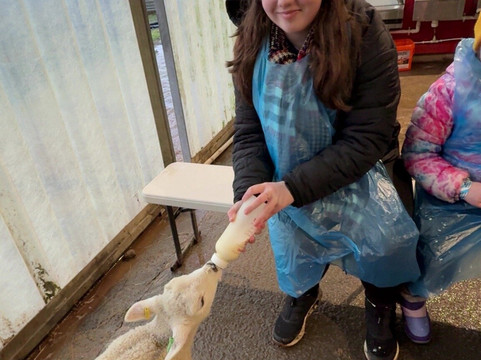 Wynford Farm Playbarn-Kingswells必去景点