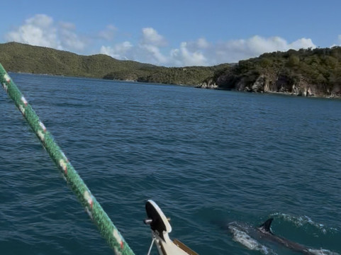 Mahiya - Virgin Magic Charters-Coral Bay必去景点