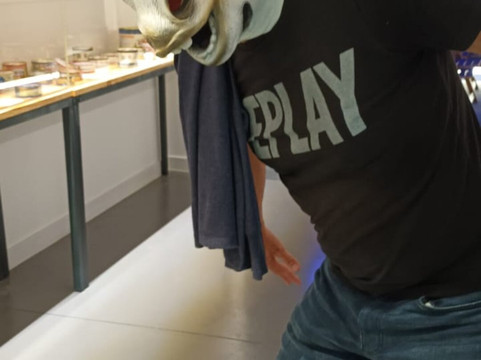 El Gaitero-比拉维西奥萨必去景点