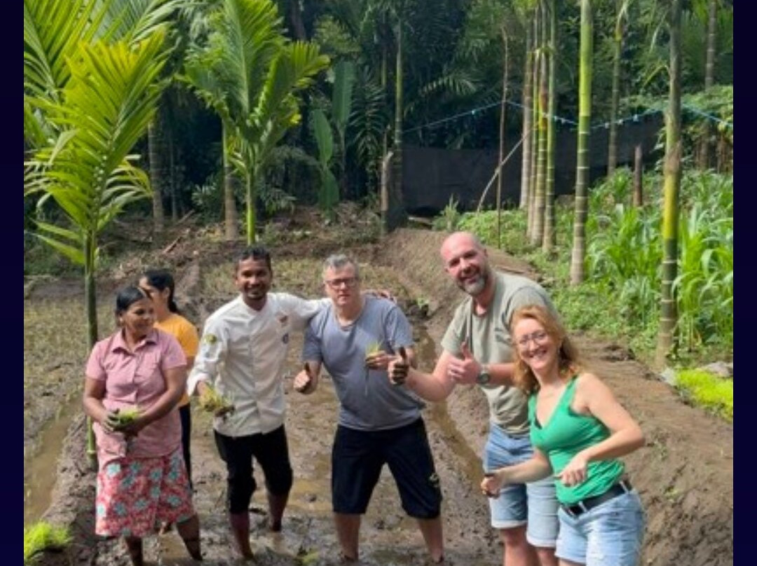 Lankan Dream Tours-Hambantota必去景点