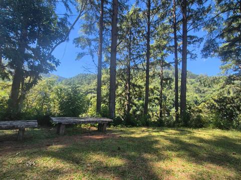 Ecoparque Sperry-卡内拉必去景点