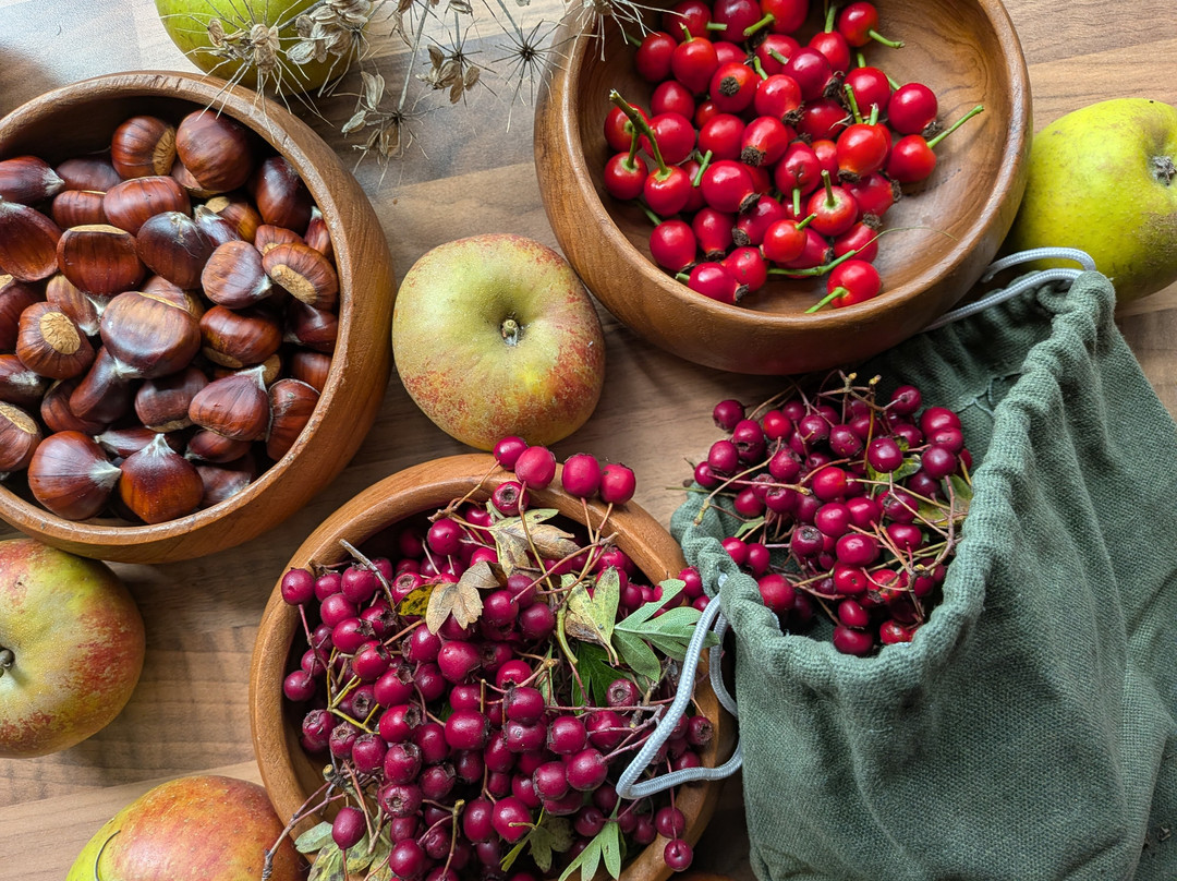 The Cramlington Forager-Cramlington必去景点