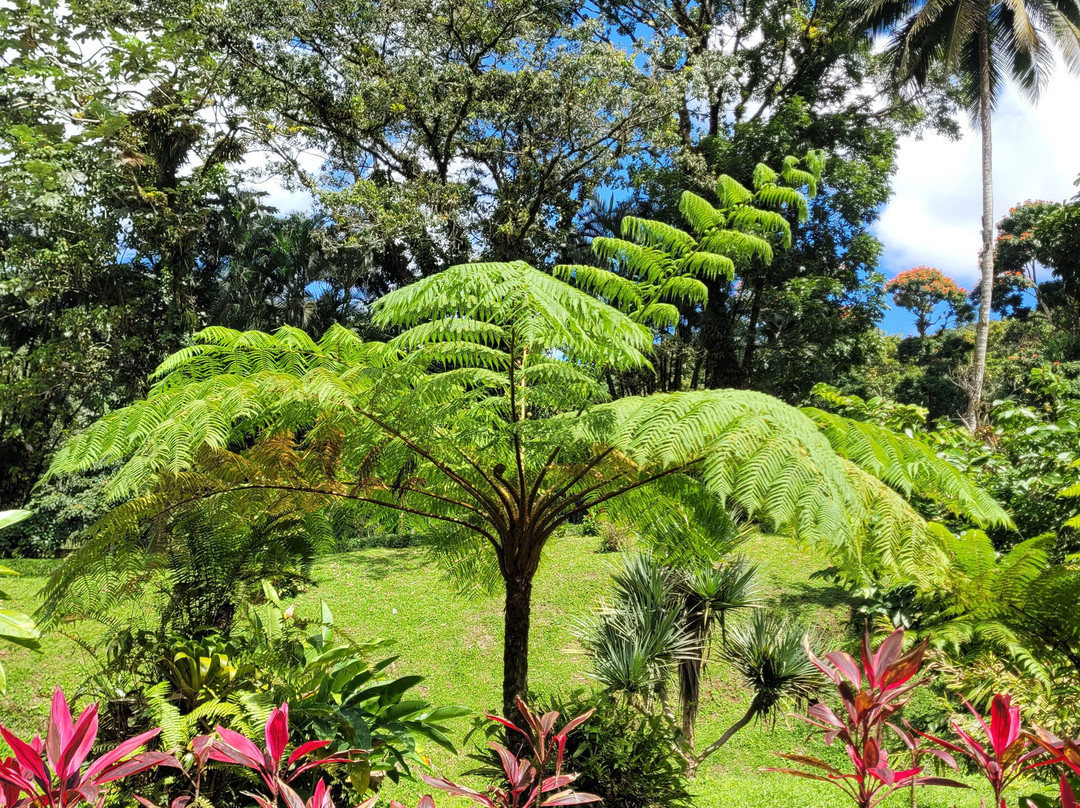 Domaine d'Emeraude-Le Morne-Rouge必去景点