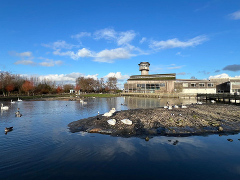 WWT Slimbridge Wetland Centre-Slimbridge必去景点