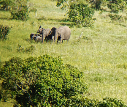 Destinex Travels-内罗毕必去景点