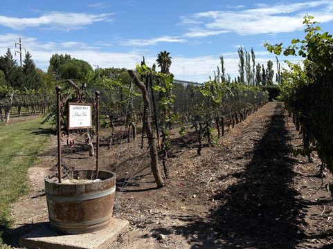Bodega Alfredo Roca-圣拉斐尔必去景点