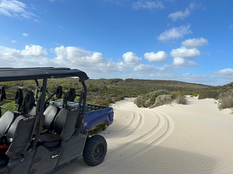 Little Sahara-袋鼠岛必去景点