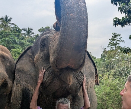 Elephant Freedom Project-凯格勒 必去景点