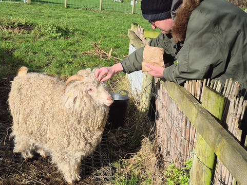 Wroxham Barns-Hoveton必去景点