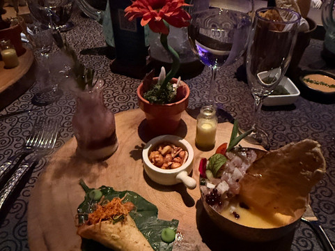 Cirque du Soleil JOYÀ-普拉亚德尔卡曼必去景点