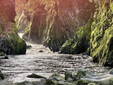 Fairy Glen-Betws-y-Coed必去景点