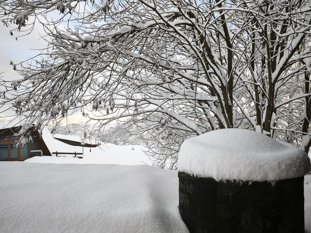 俱乐部艾斯皮拉2000主图