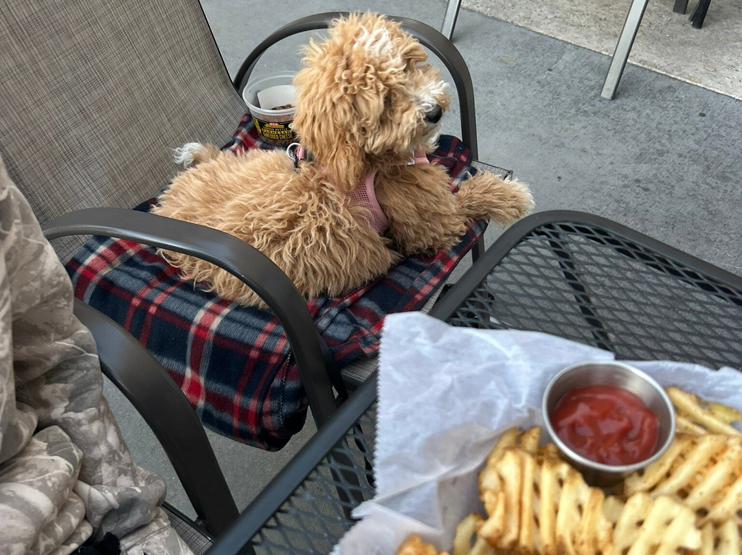 Hard Count Kitchen & Cocktails