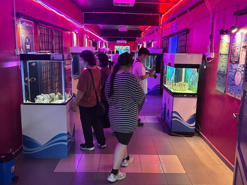 Pusat Ikan Hiasan-波德申必去景点