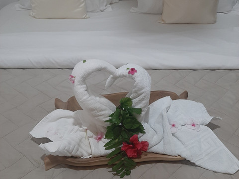 塞舌尔海洋自助公寓主图