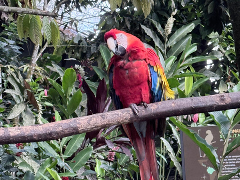 内陆自然保护区酒店主图