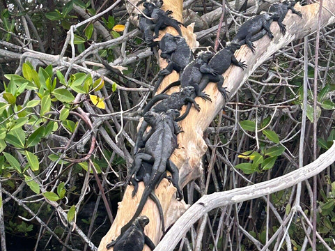 Columbus Travel-基多必去景点