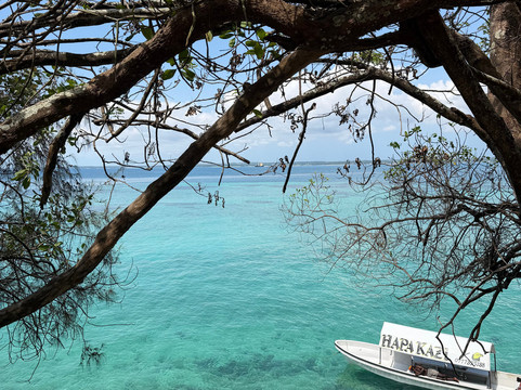 ZANZIBAR PRIVATE TOURS-孥归必去景点