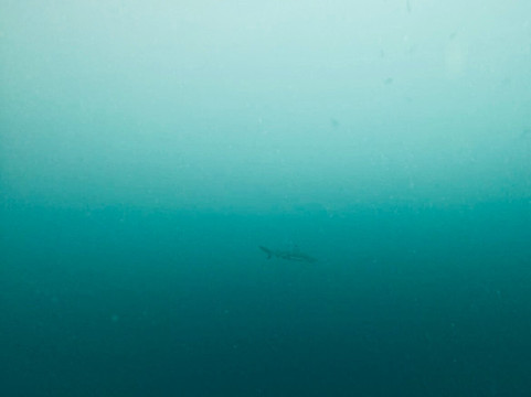 Tulamben Dive-图兰本必去景点