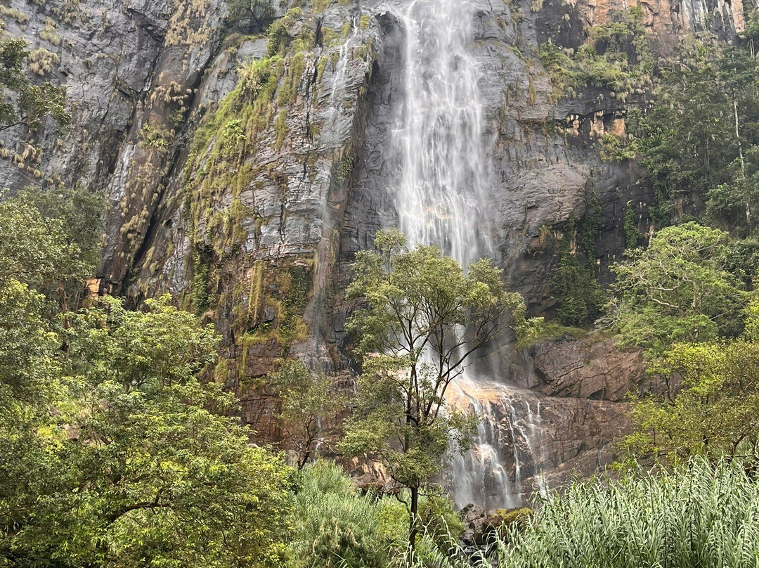 USP Lanka Tours-科伦坡必去景点