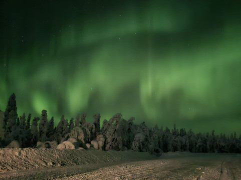 Arctic Wonders-Sodankyla必去景点