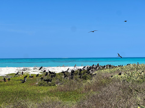 干龟岛国家公园-基韦斯特必去景点