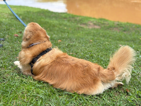 Mundaka Aventura-索科罗必去景点