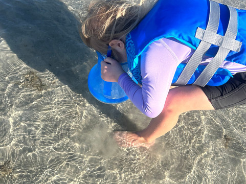 Sea N Things, LLC-Indian Shores必去景点