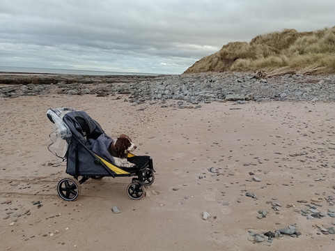 Cocklawburn Beach-特威德河畔贝里克必去景点