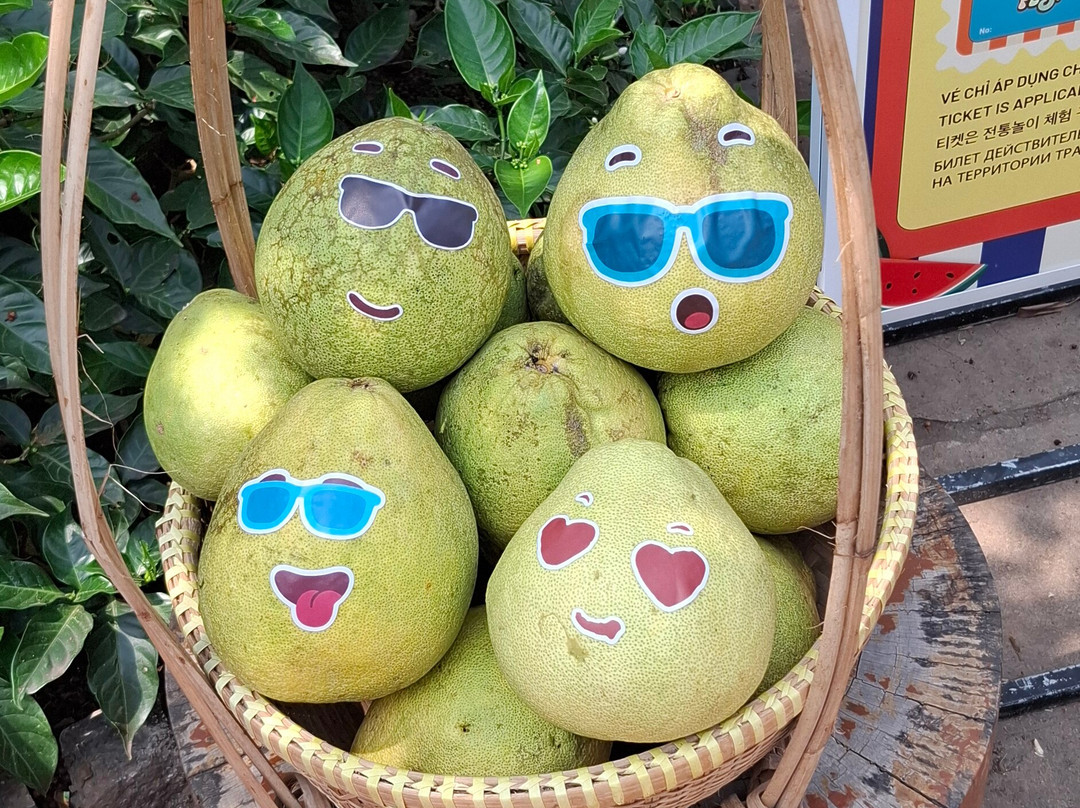 Amega Tour and general trading company limited-河内必去景点