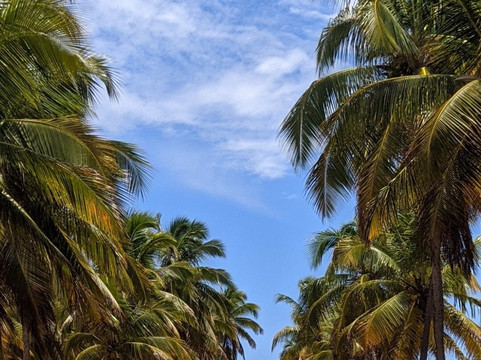 Praia De Maracaipe-嘎林海斯港必去景点