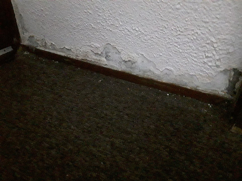 加莱康铂饭店主图