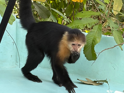 Go Highlands Tours-渥肯必去景点