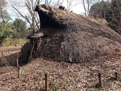 Tokyo Metropolitan Archaeological Center-多摩市必去景点