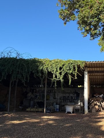 Gemoedsrus Farm-官方