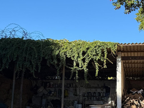 Gemoedsrus Farm主图