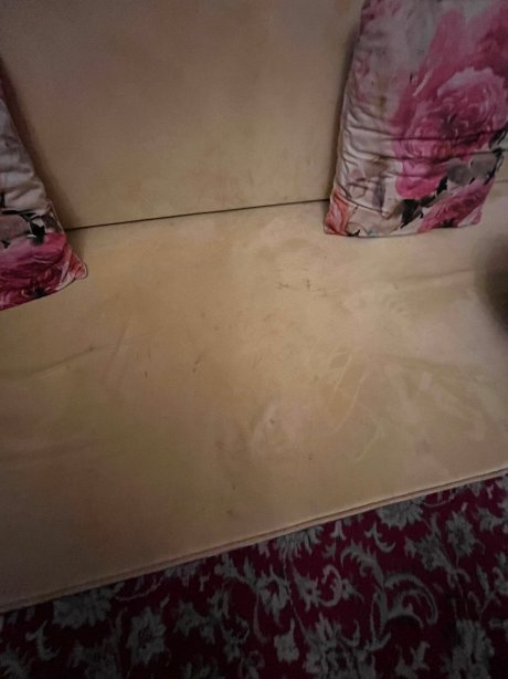 尼兰巴格宫酒店-官方