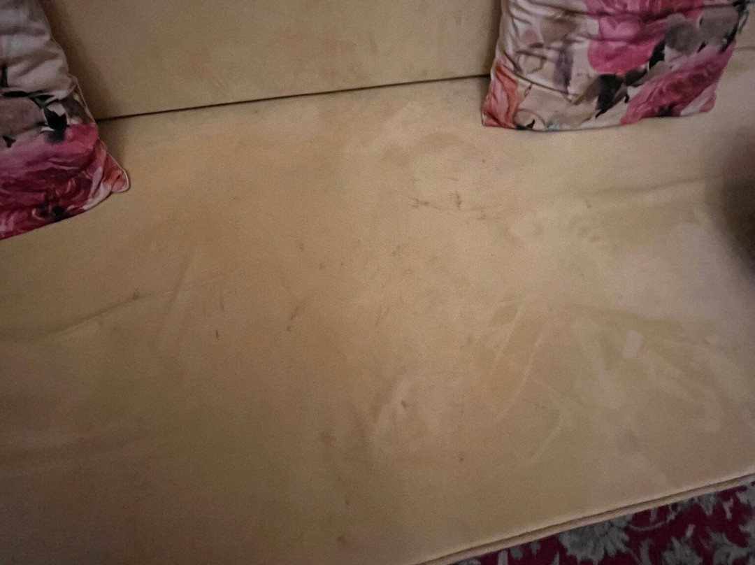 尼兰巴格宫酒店主图