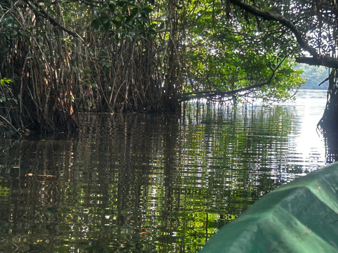 SS Lanka Tours-凯拉尼亚必去景点