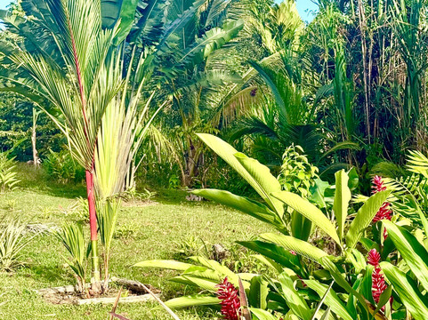 La Tierra Del Encanto-Isla Bastimentos必去景点