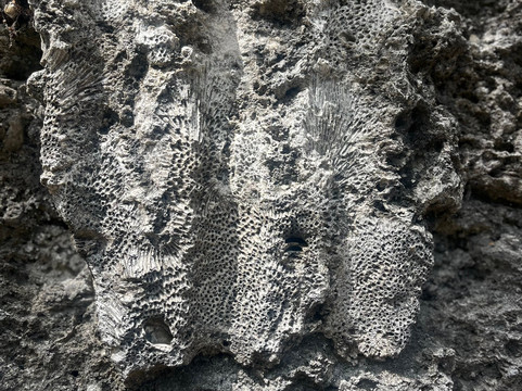 Windley Key-伊斯拉摩拉达必去景点