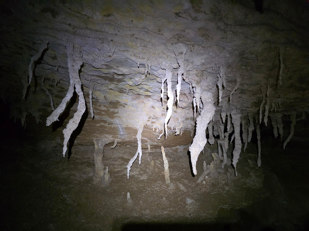 Oparara Kahurangi National Park Guided Tours-Karamea必去景点