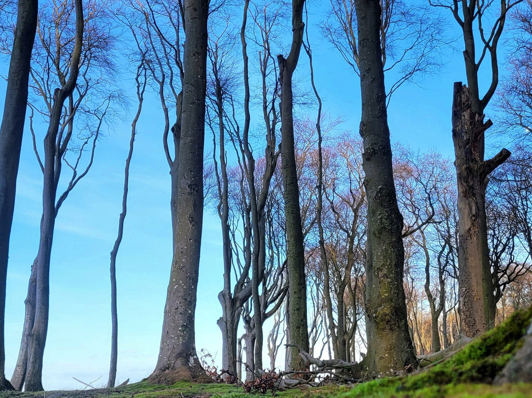 Gespensterwald-Nienhagen必去景点