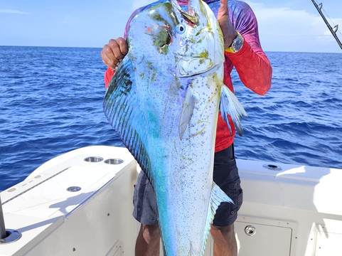 Sport Fish Panama Island Lodge主图